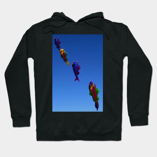 Berkeley Kite Festival Hoodie by IgorPozdnyakov